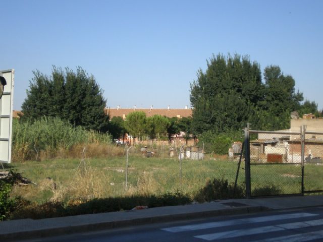 HUERMUR y AJVA recurren un plan parcial en Aljucer para evitar la tala de una olmeda protegida, una de las más importantes de la Huerta de Murcia - 2, Foto 2