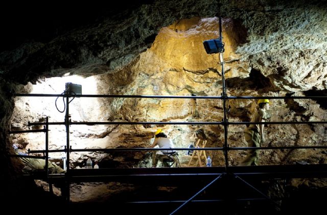 400 nuevos fósiles y dos piezas humanas se añaden a la colección de las excavaciones de Cueva Victoria - 3, Foto 3