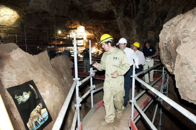 400 nuevos fósiles y dos piezas humanas se añaden a la colección de las excavaciones de Cueva Victoria - 4, Foto 4