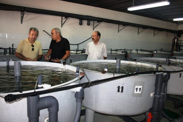 La Estación de Acuicultura Marina centra sus investigaciones en la cría de pulpo de roca y  la reducción del impacto ambiental de la actividad acuícola - 1, Foto 1