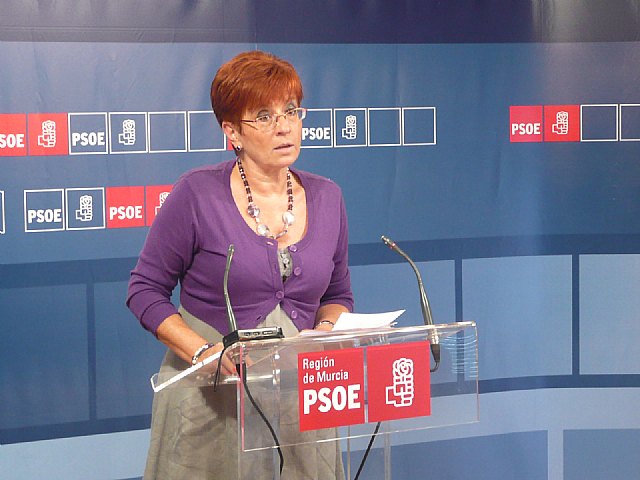 Retegui: El mayor riesgo para la prima de deuda pública es un Gobierno como el del Partido Popular en la Región - 1, Foto 1