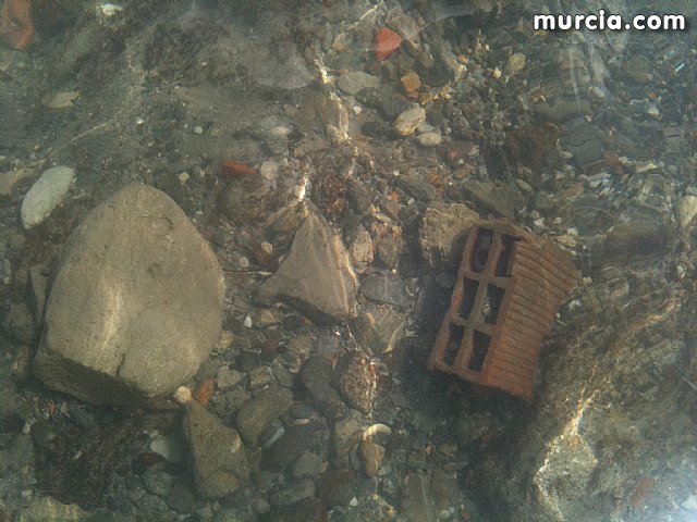 La concejalía de Medio Ambiente colabora con la II Limpieza de playas, rocas y fondos marinos en La Manga - 2, Foto 2