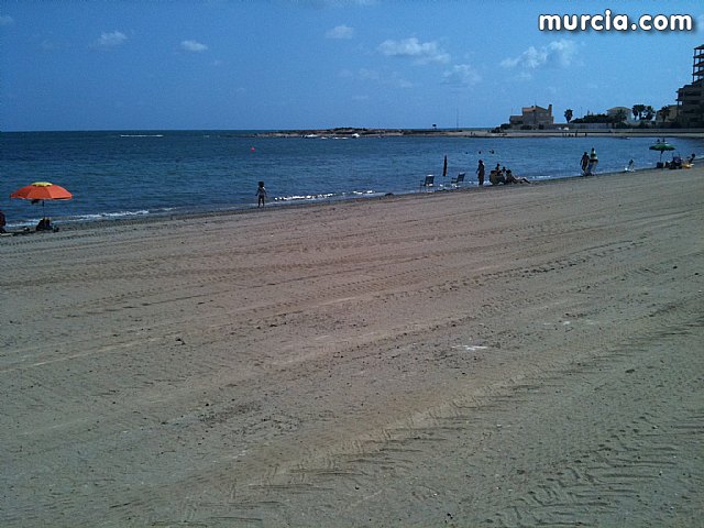 La concejala de Medio Ambiente colabora con la II Limpieza de playas, rocas y fondos marinos en La Manga - 1