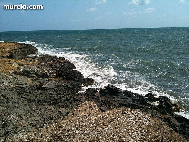 La concejala de Medio Ambiente colabora con la II Limpieza de playas, rocas y fondos marinos en La Manga - 10