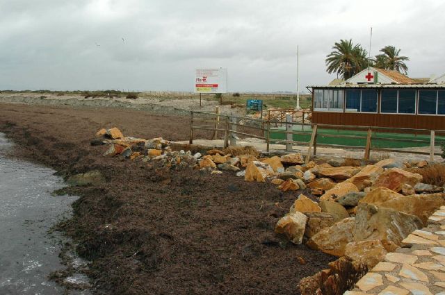 Verano de transición, según Democracia Pinatarense - 1, Foto 1