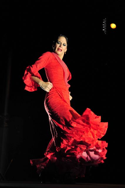 Concursos Internacionales de cante, toque, baile e instrumentista flamenco - 5, Foto 5