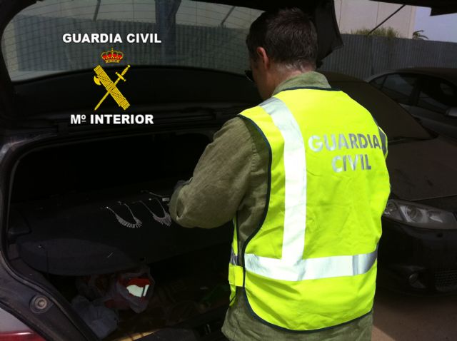 Detenidos, en Cartagena, los autores de varios robos en Torre Pacheco - 1, Foto 1