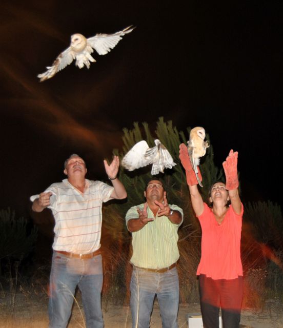 Liberan tres lechuzas en el Paraje del Toconar - 1, Foto 1