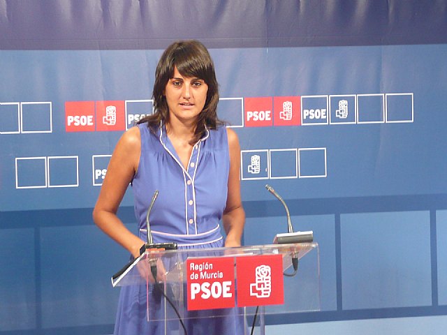 El PSOE pide al Gobierno regional una Ley de Transparencia y la puesta en marcha del Gobierno Abierto - 1, Foto 1