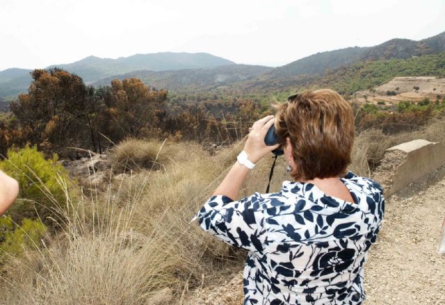 Las administraciones dan prácticamente por extinguido el incendio de Atamaría - 4, Foto 4
