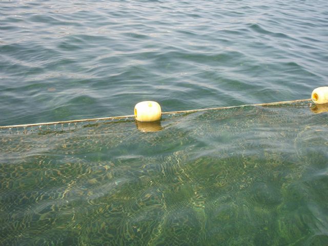 Protección Civil detecta 80 metros de redes de contención de medusas rotas en Villananitos - 2, Foto 2