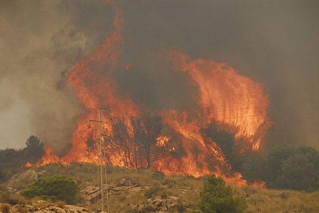 ANSE pide a la Comunidad Autónoma que aplique la normativa del Parque Regional de Calblanque para recuperar la zona quemada y luchar contra futuros incendios - 1, Foto 1