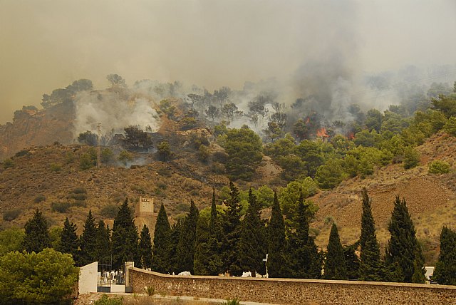 ANSE pide a la Comunidad Autónoma que aplique la normativa del Parque Regional de Calblanque para recuperar la zona quemada y luchar contra futuros incendios - 2, Foto 2