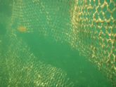 Proteccin Civil detecta 80 metros de redes de contencin de medusas rotas en Villananitos