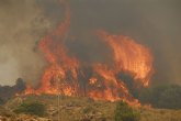 ANSE pide a la Comunidad Autónoma que aplique la normativa del Parque Regional de Calblanque para recuperar la zona quemada y luchar contra futuros incendios