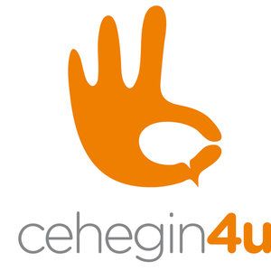 El pregón y la coronación de la Reina podrá seguirse en directo a través de Internet - 1, Foto 1