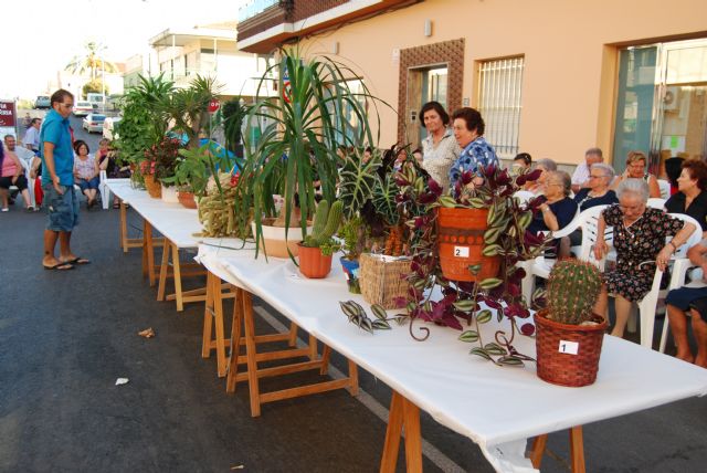 El billar de bizcocho y el cactus pinchito, primer premio del Concurso de Postres y Macetas 2011 - 1, Foto 1