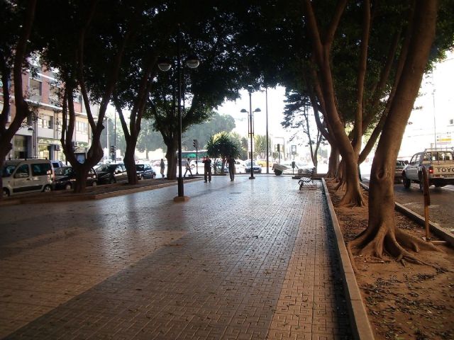 Comienza la poda de ficus en la Avenida de América para su traslado a las Seiscientas - 2, Foto 2