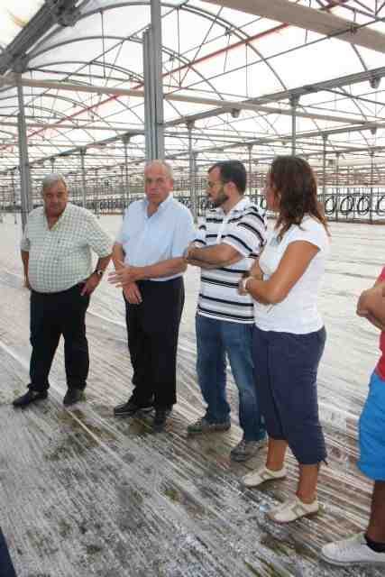 La Consejería se reúne con agricultores del Campo de Cartagena para estudiar los resultados y nuevos objetivos del Programa de Agricultura Limpia - 2, Foto 2