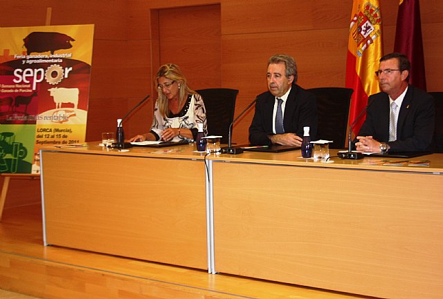 Cerdá destaca la madurez y profesionalidad del sector ganadero regional para resistir a los momentos de dificultad - 1, Foto 1