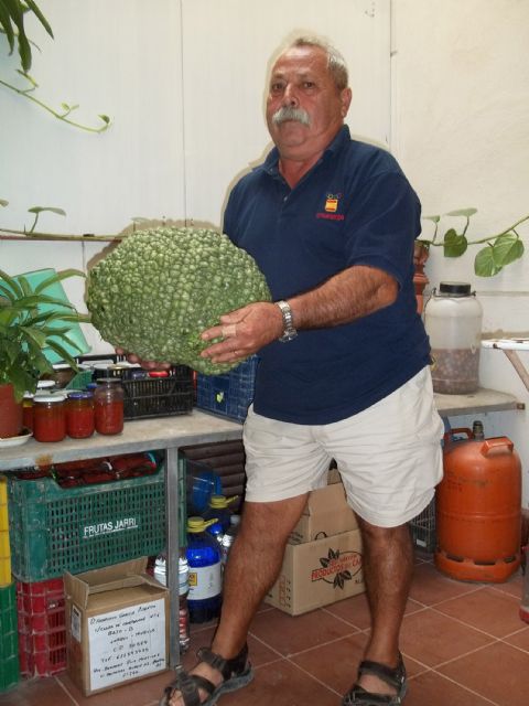 Un agricultor jubilado de Lorquí cultiva una calabaza de quince kilos - 1, Foto 1