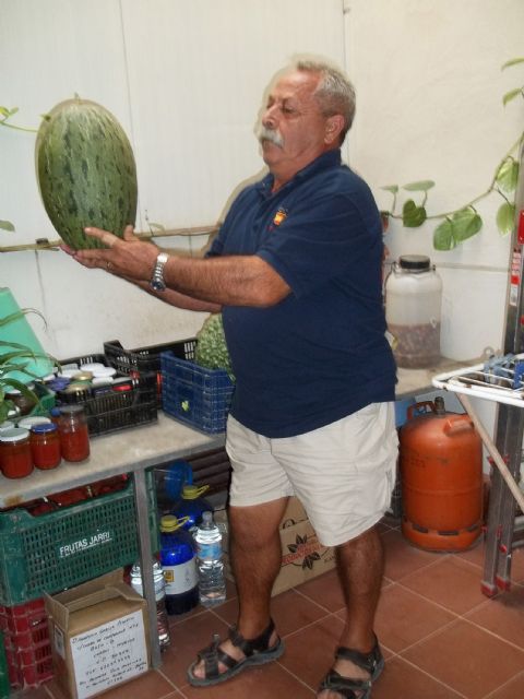 Un agricultor jubilado de Lorquí cultiva una calabaza de quince kilos - 2, Foto 2