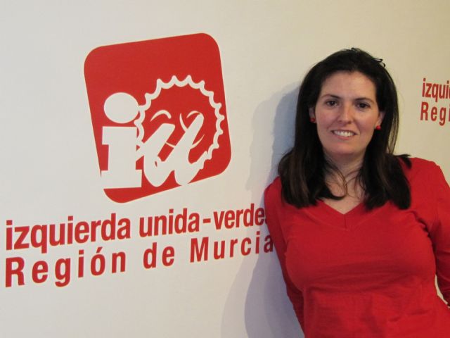 IU-Verdes denuncia un retraso en el pago de ayudas al acogimiento de menores - 1, Foto 1