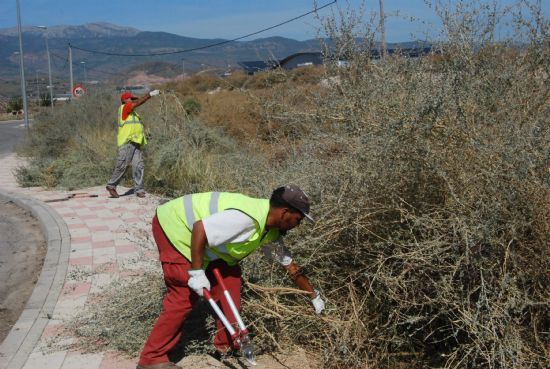 Un bando de alcaldía recuerda la ordenanza municipal reguladora de los caminos rurales, Foto 1