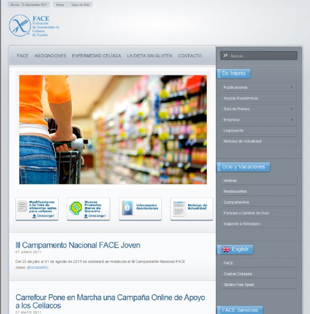 La Federación de Asociaciones de Celíacos de España (FACE) presenta su nueva web - 1, Foto 1