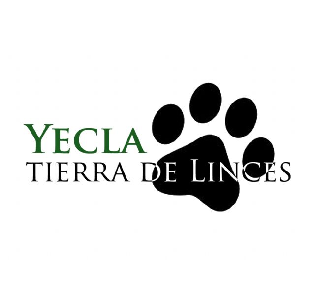 El PSOE de Yecla presenta el proyecto ´Yecla, tierra de Linces´ para diversificar la economía y apostar por el turismo rural - 1, Foto 1