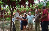 Agricultores del Valle del Vinalop se interesan por el proyecto de obtencin de nuevas variedades de uva de mesa de la Regin
