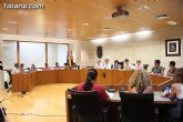 El Pleno reconocer la labor desempeñada por los alcaldes pedneos y la junta local de vecinos del Paretn durante la legislatura 2007-2011