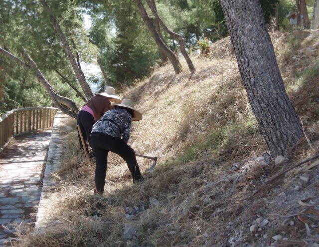 En marcha el plan de mantenimiento de espacios públicos  de los Consejos Comarcales Agrarios - 2, Foto 2