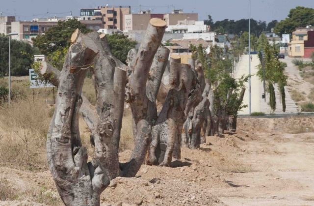 Una cata cada doce metros - 3, Foto 3