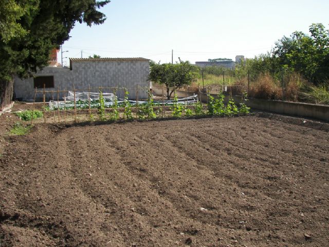 Campaña de la Concejalía de Agricultura para prevenir la propagación de plagas que dañan a todos los cultivos - 1, Foto 1