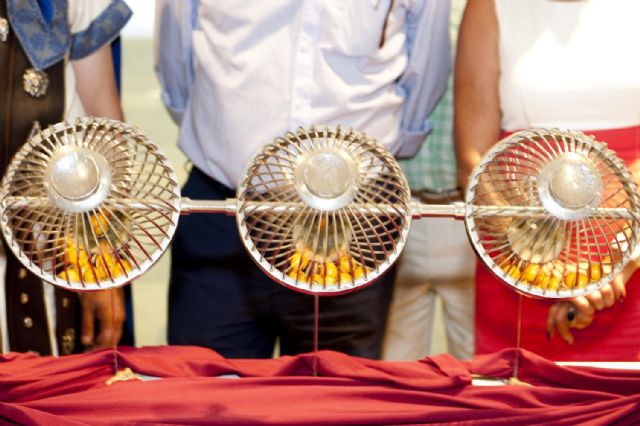 El 562 es el número agraciado en el sorteo extraordinario de Carthagineses y Romanos - 3, Foto 3