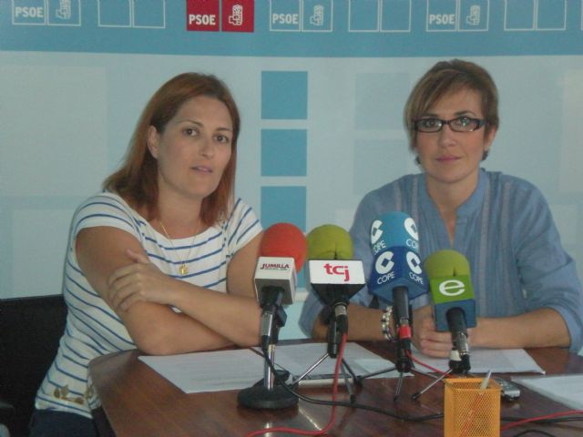 El PSOE critica el recorte en ayudas escolares, y la improvisación en pedir la construcción de la escuela infantil - 1, Foto 1