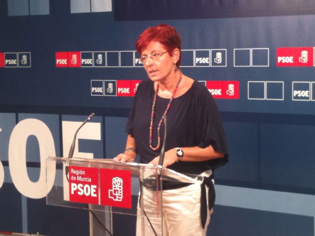 El PSOE exige al Gobierno regional que presente de una vez el anunciado plan de pago a proveedores - 1, Foto 1