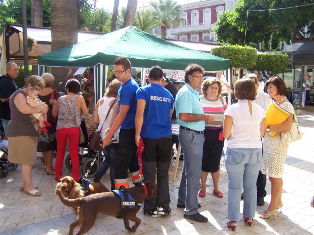 Águilas conmemora el 'Día Internacional del Alzheimer' - 1, Foto 1