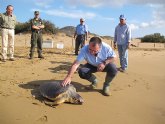 La Consejera de Presidencia libera dos ejemplares de tortuga boba tras ser curados en el Centro de Recuperacin de Fauna Silvestre