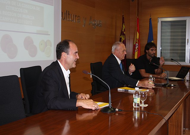 Agricultura prevé una cosecha de cítricos de excelente calidad y con buenos calibres medios - 1, Foto 1