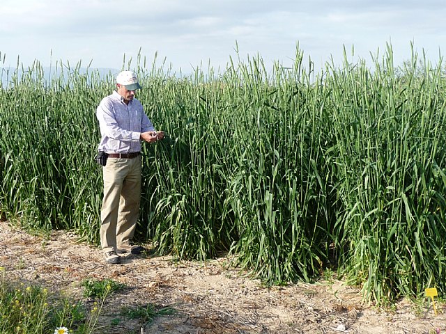 Agricultura desarrolla un proyecto sobre logística de residuos agrícolas en zonas rurales para su uso energético - 1, Foto 1