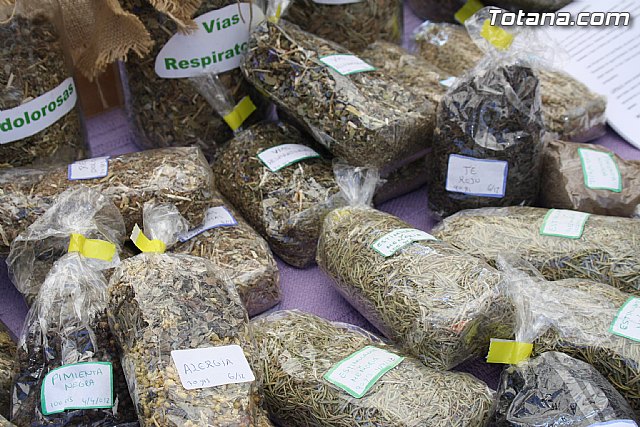 Gran afluencia de pblico en el 