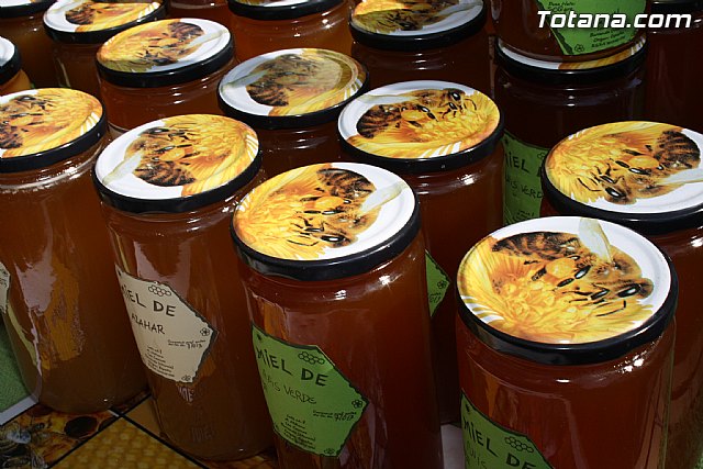 Gran afluencia de pblico en el 