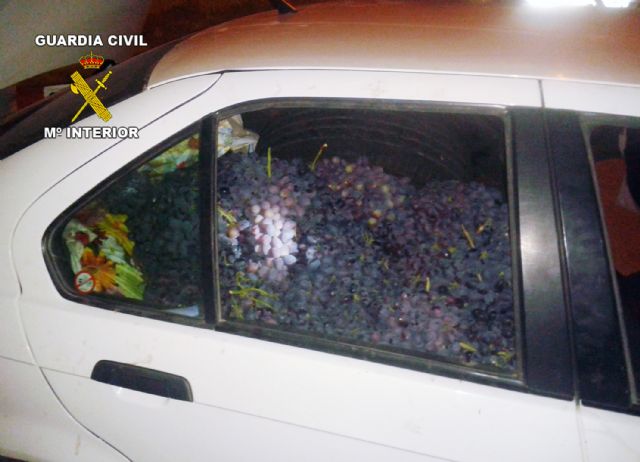 La Guardia Civil detiene a 3 personas que habían sustraído más de media tonelada de uva en Cieza - 1, Foto 1