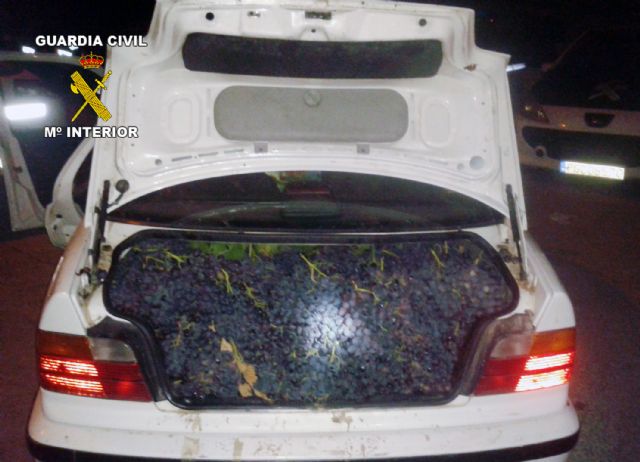 La Guardia Civil detiene a 3 personas que habían sustraído más de media tonelada de uva en Cieza - 3, Foto 3