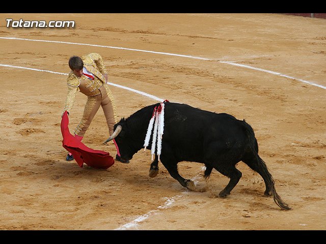 Calasparra declara los toros Bien de Interés Cultural Inmaterial - 1, Foto 1