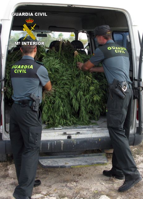 La Guardia Civil ha desmantelado un punto de producción de marihuana en Jumilla - 2, Foto 2