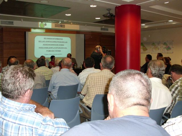 Reunion de directivos de las asociaciones de CEBAG con la alcaldesa de Totana sobre el PGMO, Foto 1