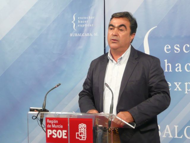 El PSOE sospecha que el Gobierno regional está mareando la perdiz para no anunciar sus recortes antes del 20-N - 1, Foto 1